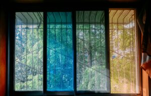 lemon2879-bCevNSZW7Rw-unsplash